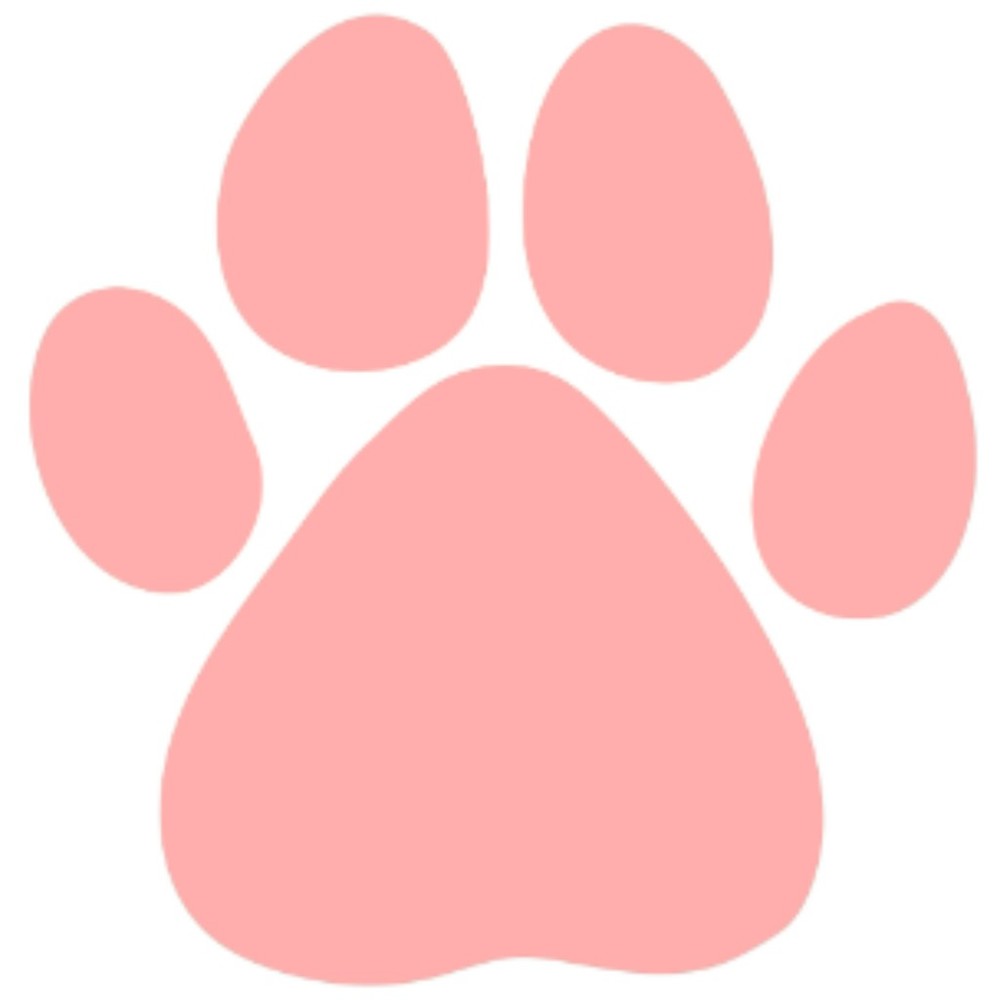 Meet your Posher, Eily